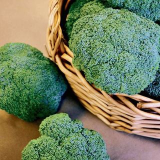 Castle Dome Hybrid Broccoli