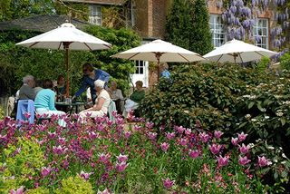 The Pashley Manor Tulip Festival