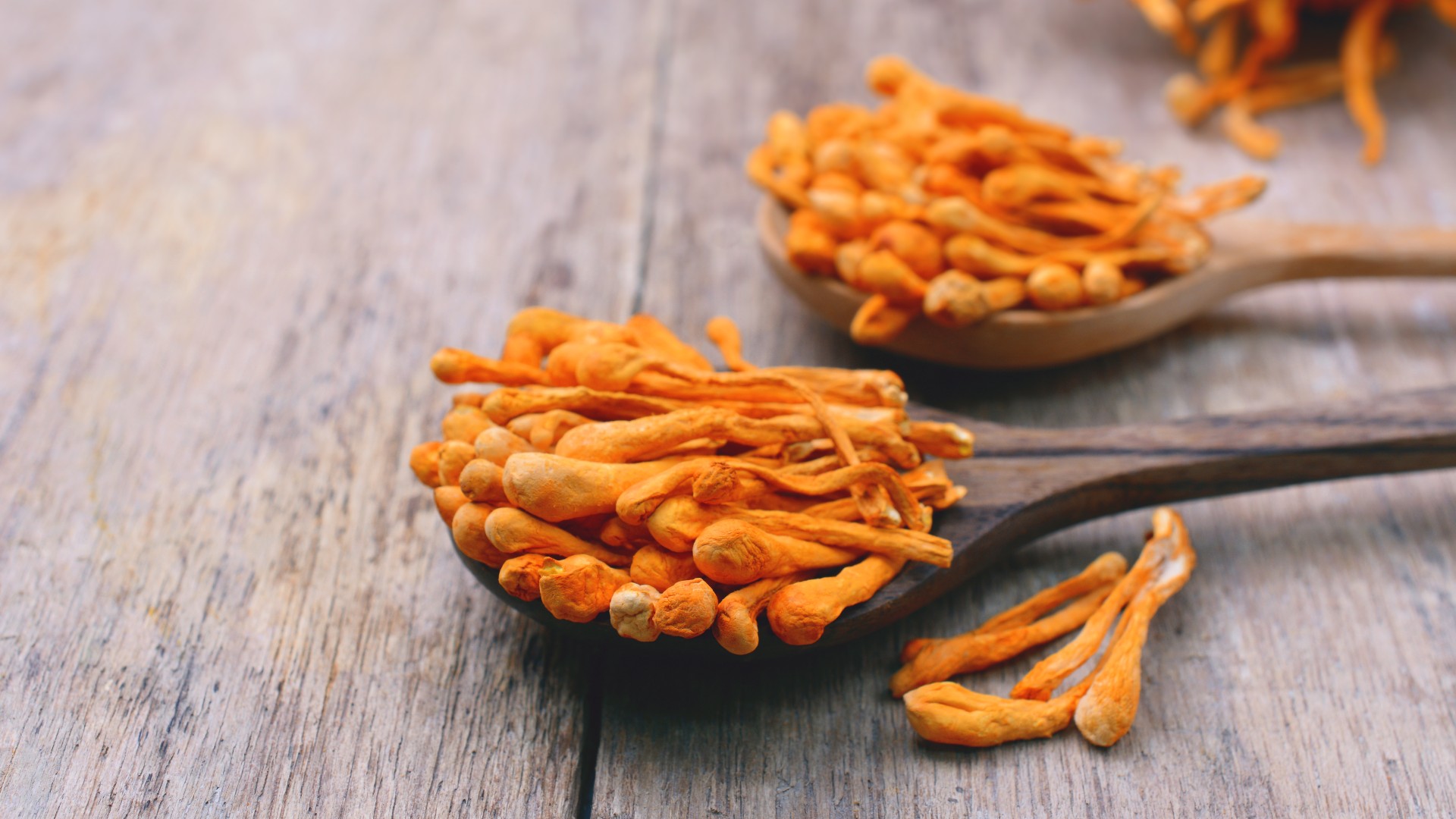 Dried Cordyceps mushrooms