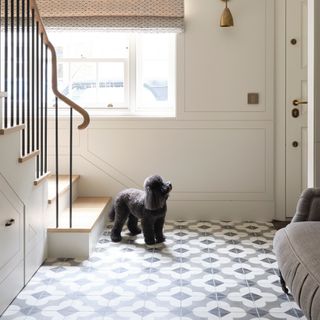 Black dog in centre of tiled hallway