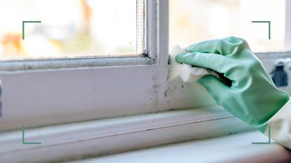 gloved hand cleaning mould off of window fixture