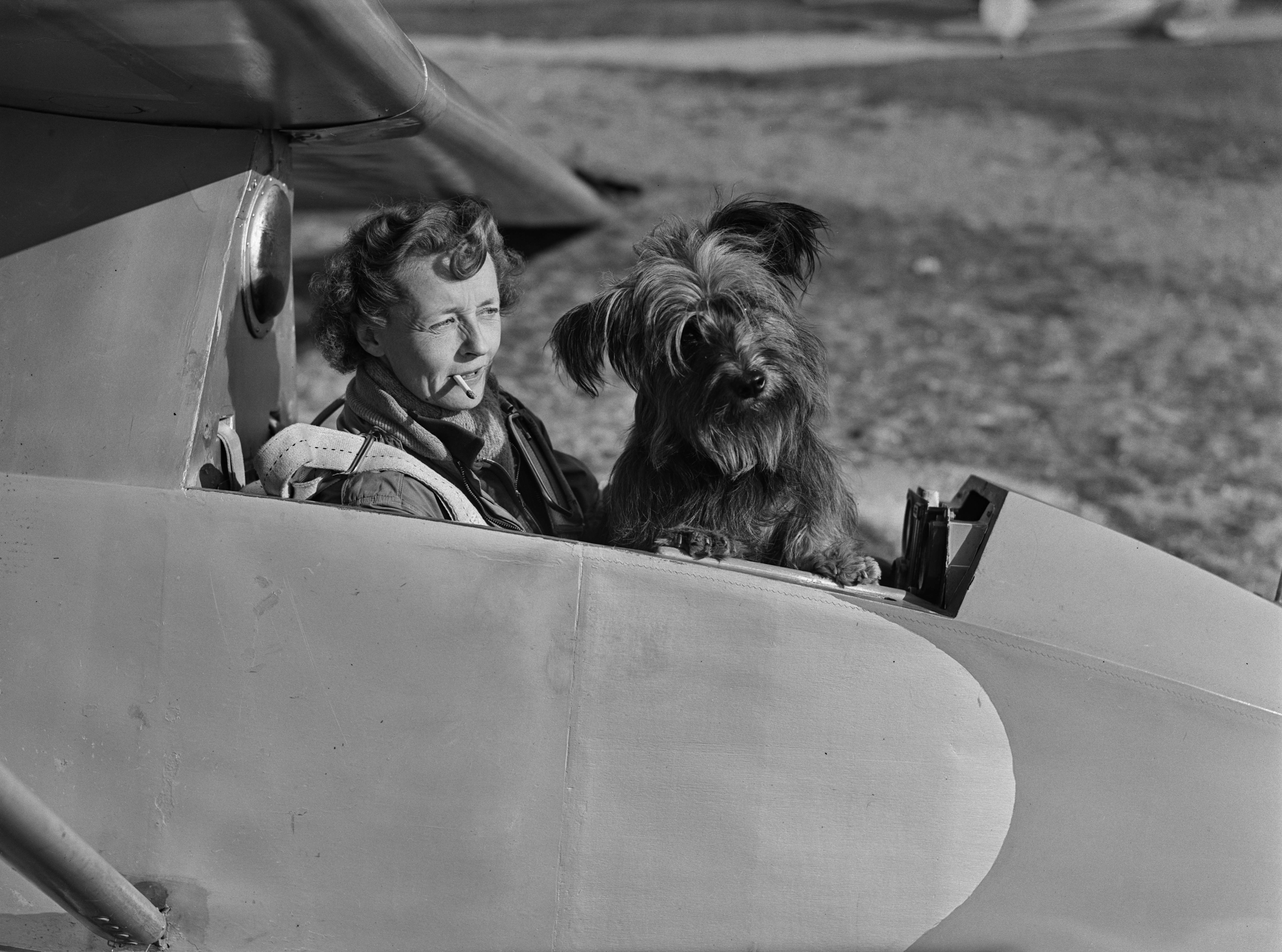Gliding enthusiast Mrs E E Richardson in the cockpit of a glider with her mascot, a Skye terrier