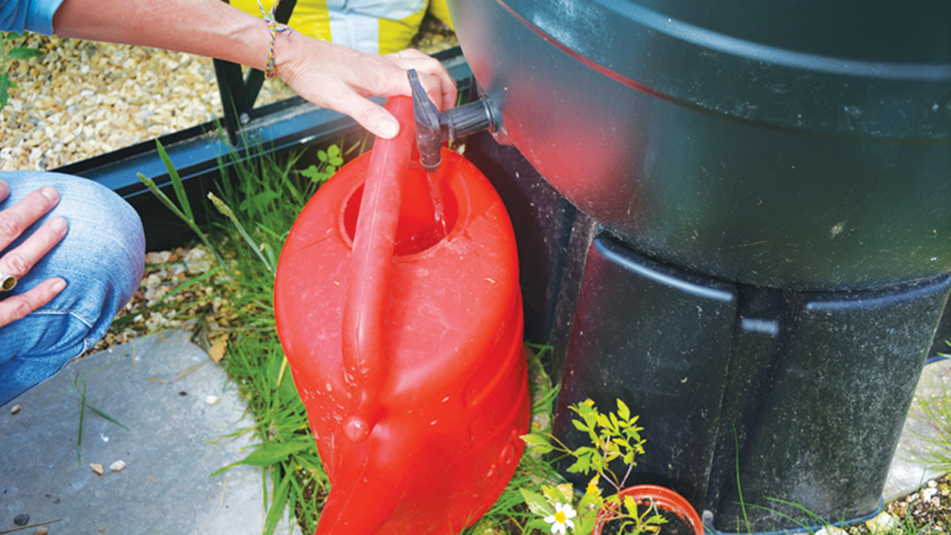 Person using a water butt to fill a red watering can to water the garden during a hosepipe ban