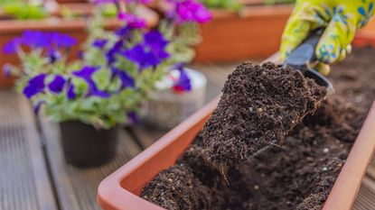 A trowel scoops up soil out of a long trough