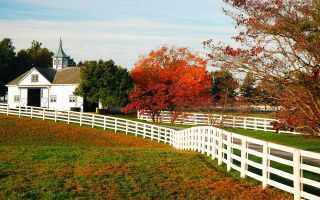 A horse farm in Lexington, Ky.