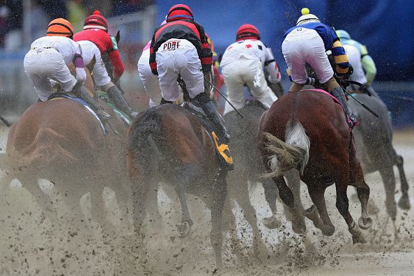 Preakness Saturday race