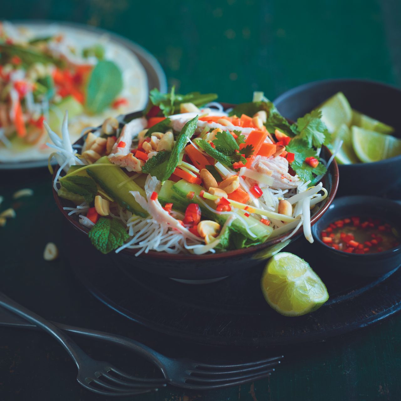 vietmanese salad-christmas left overs-woman and home