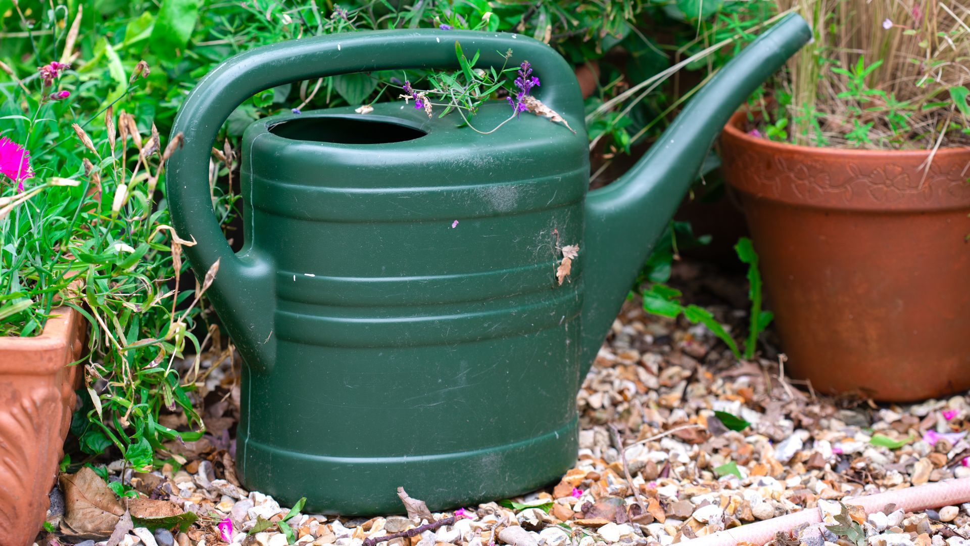 picture of watering can in garden around pots