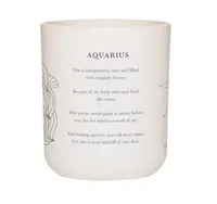 9. Damselfly Aquarius candle