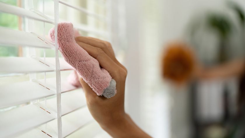 Woman dusting blinds