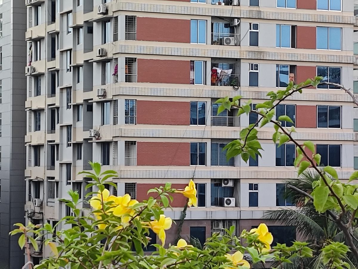 Black Shark 5 Pro zoom camera sample