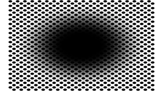 Black hole optical illusion