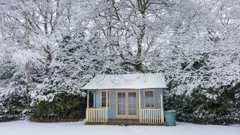 shed in the snow