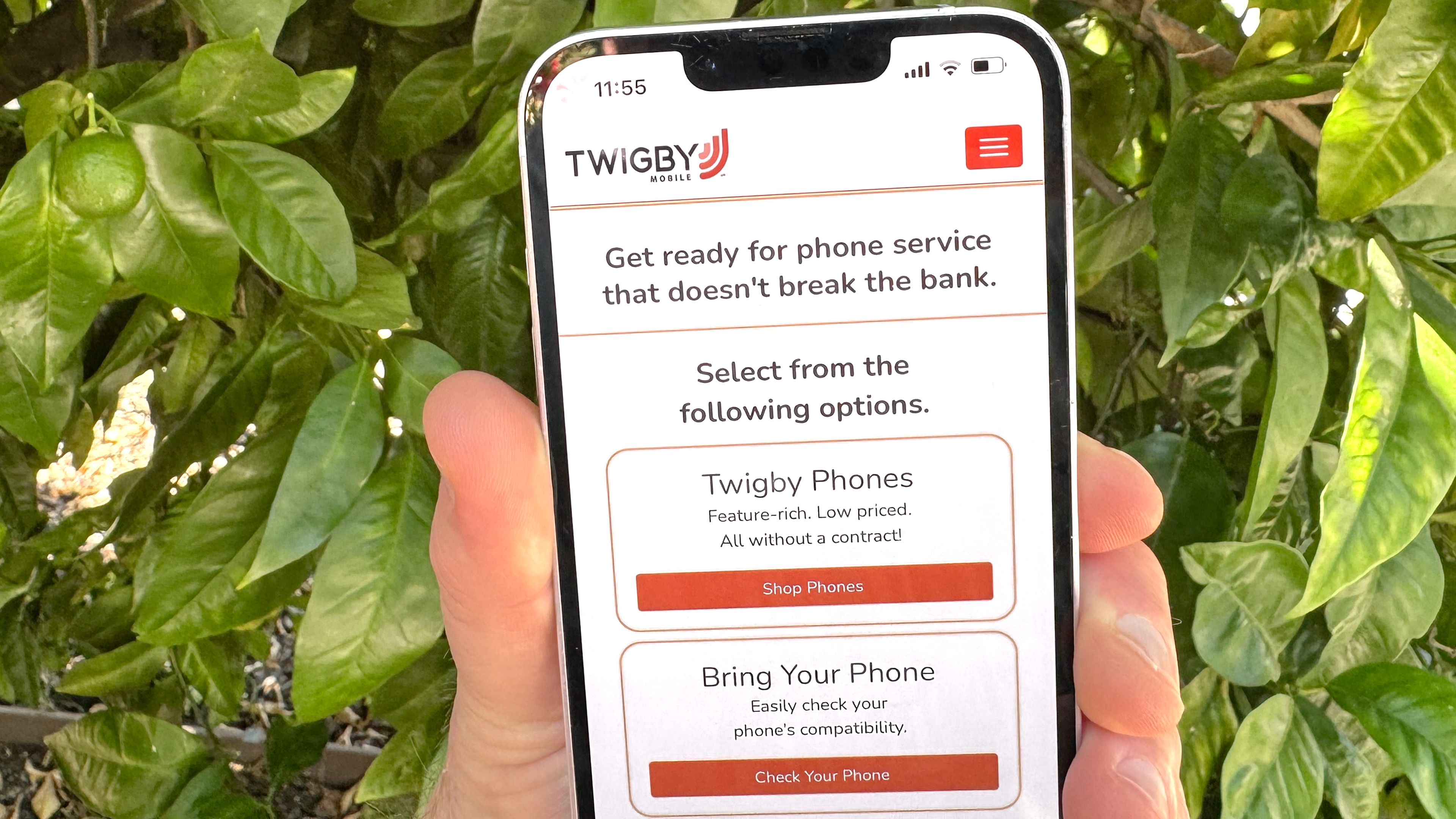 Twigby Mobile app on an iPhone 14