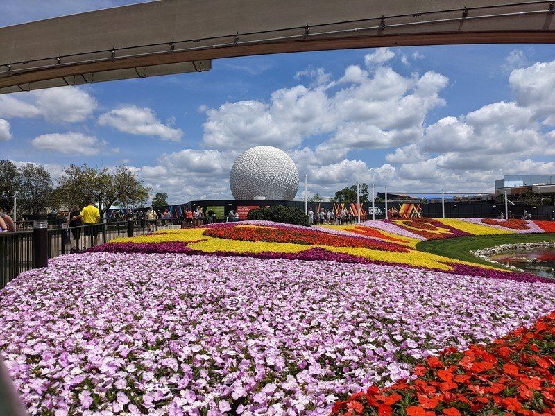 A52 5g Review 4a Flowerfield Epcot