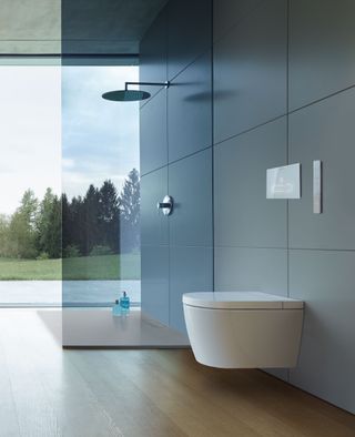 wall hung contemporary toilet