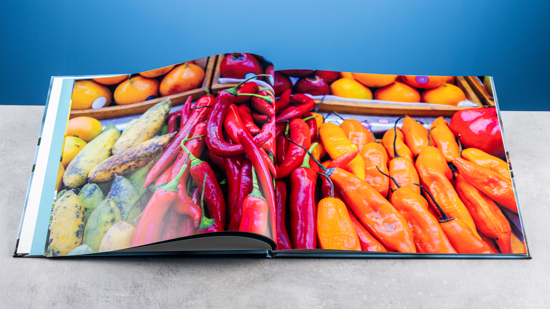 Vistaprint photo book pages photographed on a table in front of a blue background