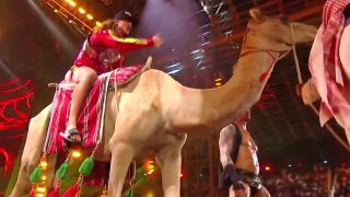 Matt Riddle on a camel.