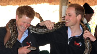 Prince Harry and Prince William (R) hold an African rock python during a visit to Mokolodi Education Centre on June 1, 2010 in Maun, Botswana