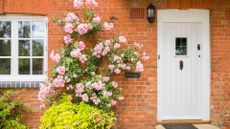 A red brick house with a white front door and a pink climbing rose rambling over the exterior wall