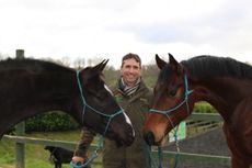 Jason-Webb-new-horses-e1455636140516.jpeg