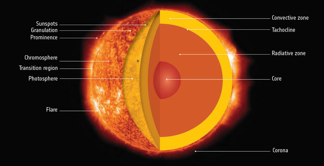 A cross-section of the Sun showing, among other things, the convection layer, in which currents carry blobs of plasma radially toward and away from the Sun's center.