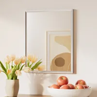 Keonjinn Rectangle Brushed Nickel Framed Wall Mirror