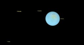 A pail blue and rich Uranus in black space with labeled moons of small light.