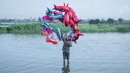 The fish belong in the river, but the river is gone. A man stands in the water, while balloons shaped like dolphins float above, a parody of joy