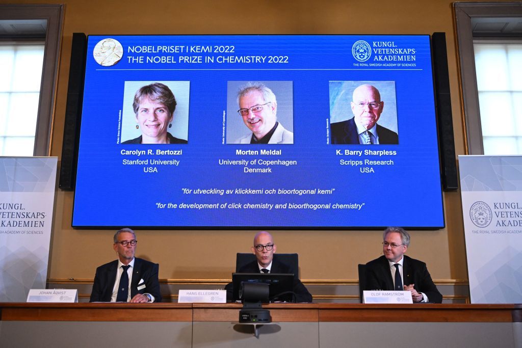 Nobel Prize in Chemistry goes to 3 scientists for work on building ...