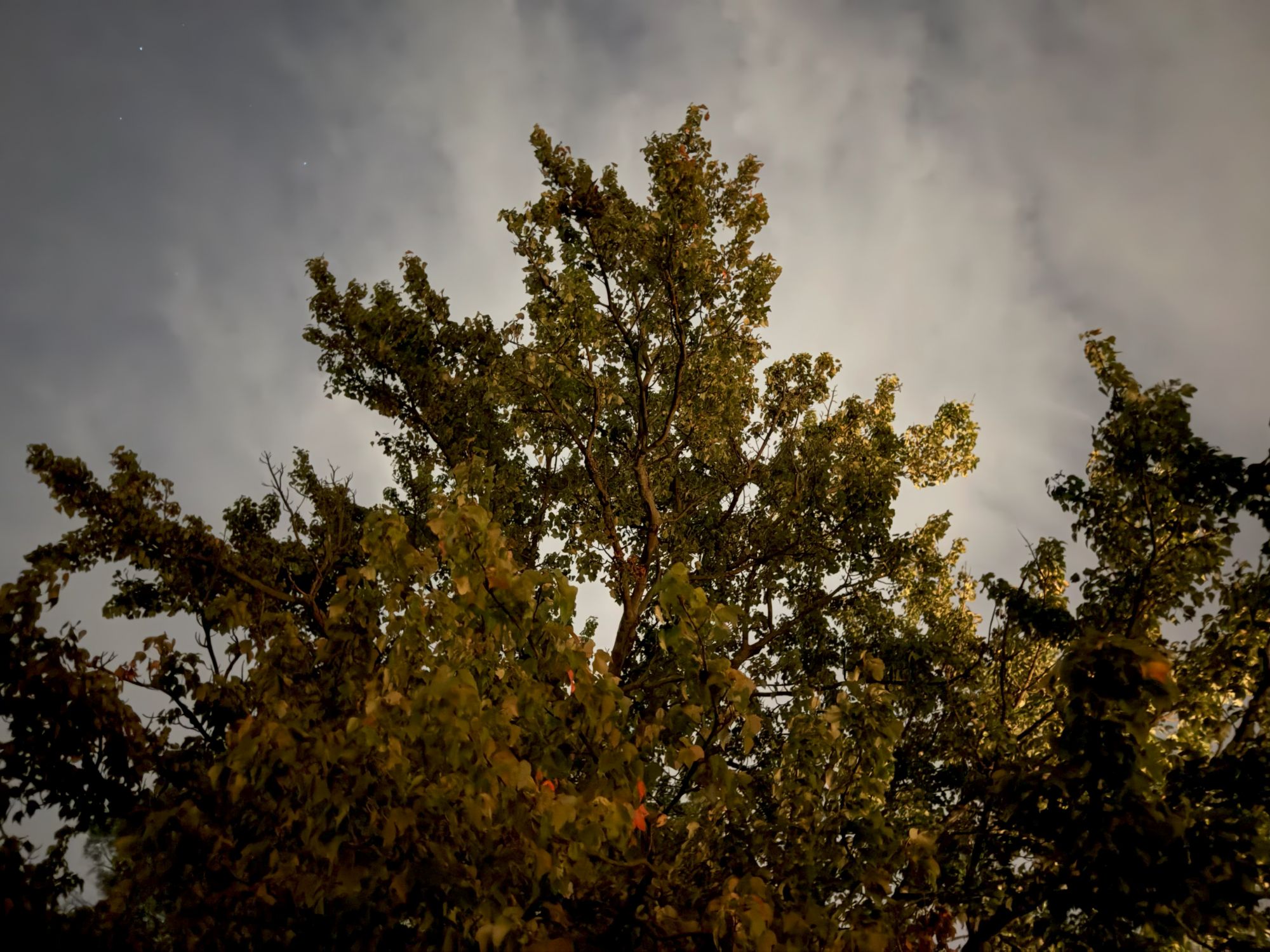 iPhone 17 Pro Camera Sample.