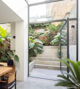 A backyard filled with exotic greenery