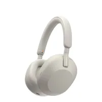 Sony WH-1000XM5 (silver)