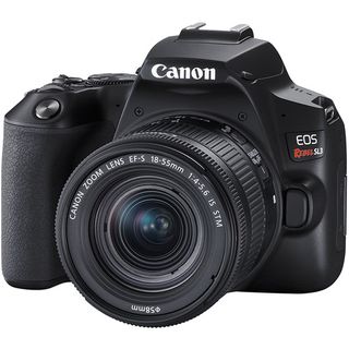 Canon EOS 250D / Rebel SL3 Review - Amateur Photographer