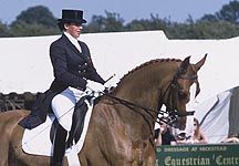 K-Mepham-Dikkiloo.jpg