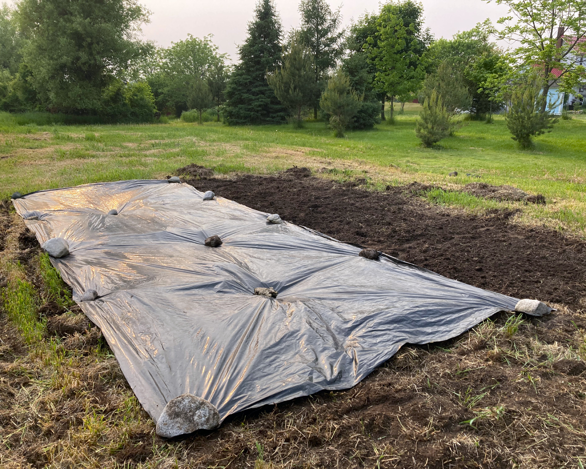 Laura Walters&#039; garden covered in black plastic sheeting