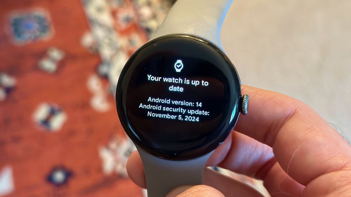 &quot;Your watch is up to date: Android Version: 14; Android security update: November 5, 2024&quot; on the Google Pixel Watch 3 held in the author&#039;s hand.