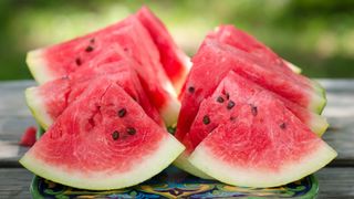 Watermelon, one of the best natural treats for dogs