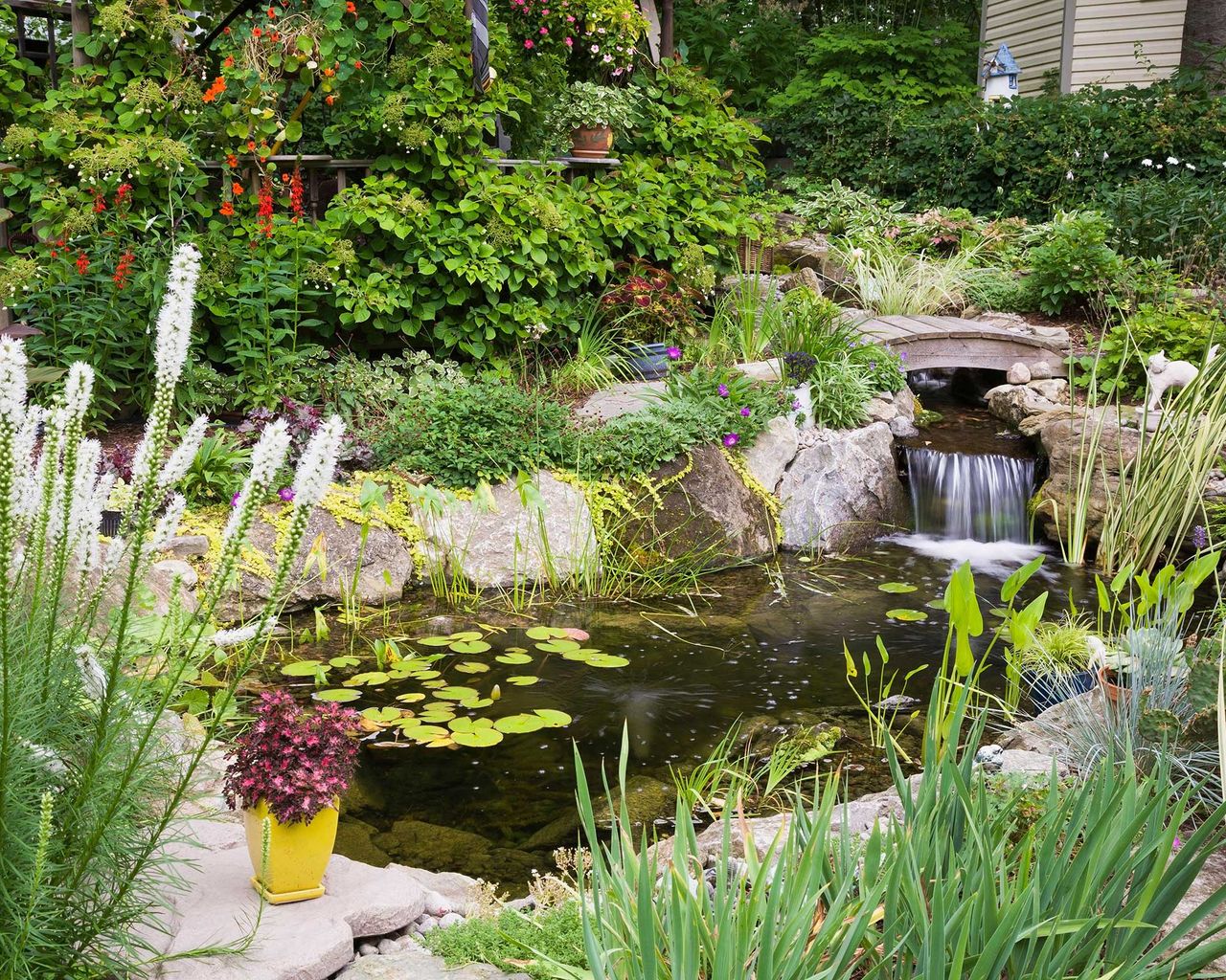 Pond ideas with waterfalls: 11 decorative ways to give your garden a ...