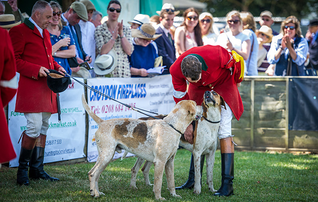 Hunt staff from the East Sussex and Romney Marsh congratulate local doghound champion Bedouin 14
