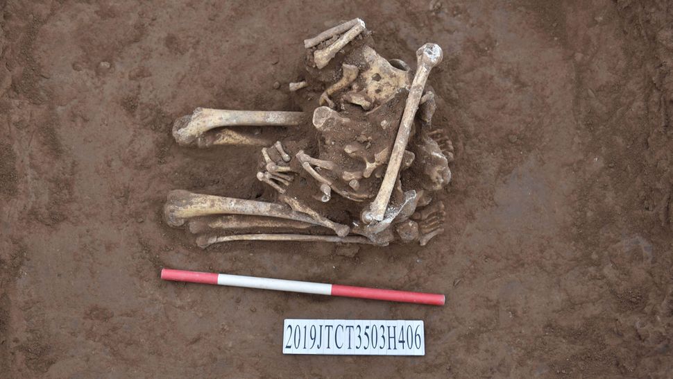 Decapitated, kneeling skeleton found in a pit in China linked to ancient ritual sacrifice