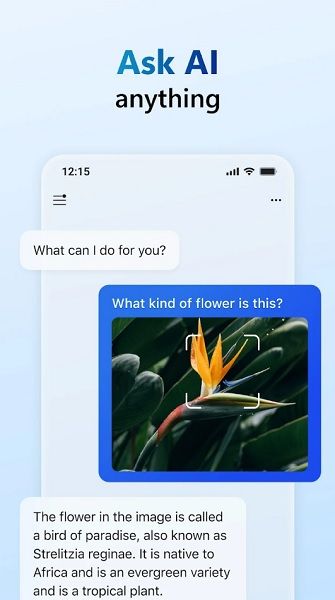 Microsoft Copilot app can help with various questions from users.