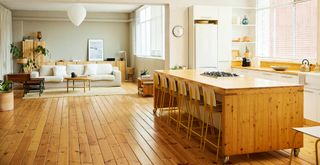 open plan kitchen and living area with pale wooden floors