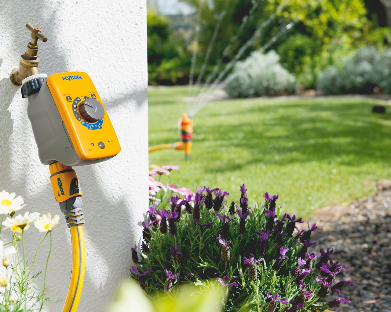 When is the best time to water plants? Expert tips on watering your garden Gardeningetc