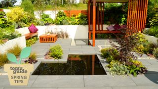 Low maintenance garden with paving and a water feature with minimal planting