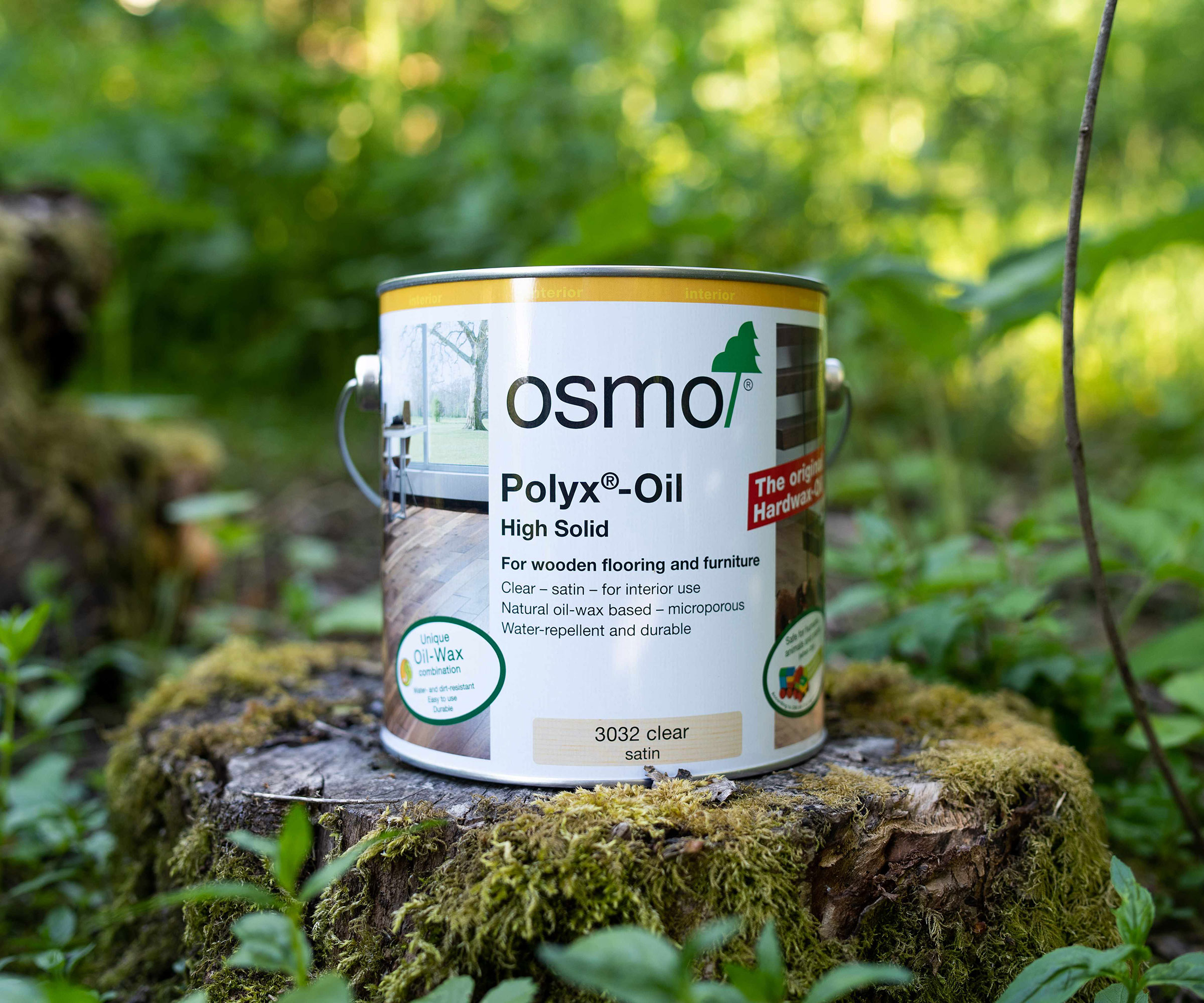 tin of Osmo wood oil paint on a tree stump in a woodland