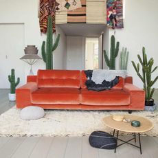 room with red sofa and wooden floor and cactus
