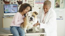 A girl hugs her dog at the veterinarian's office while the vet listens to the dog's heart.