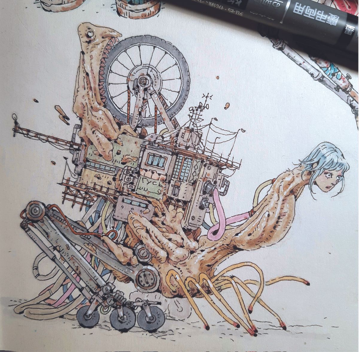 Post image 7