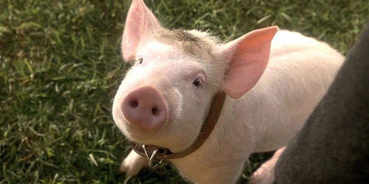 Clooney 9 Cool And Interesting Facts About The Actor/Director Cinemablend